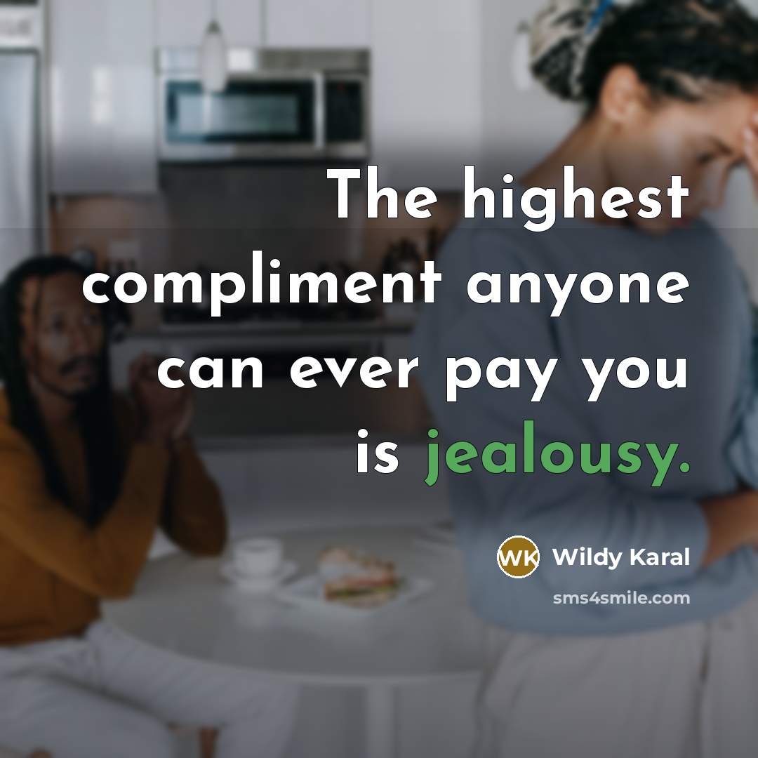 “The highest compliment anyone can ever pay you is jealousy.” quote by Wildy Karal