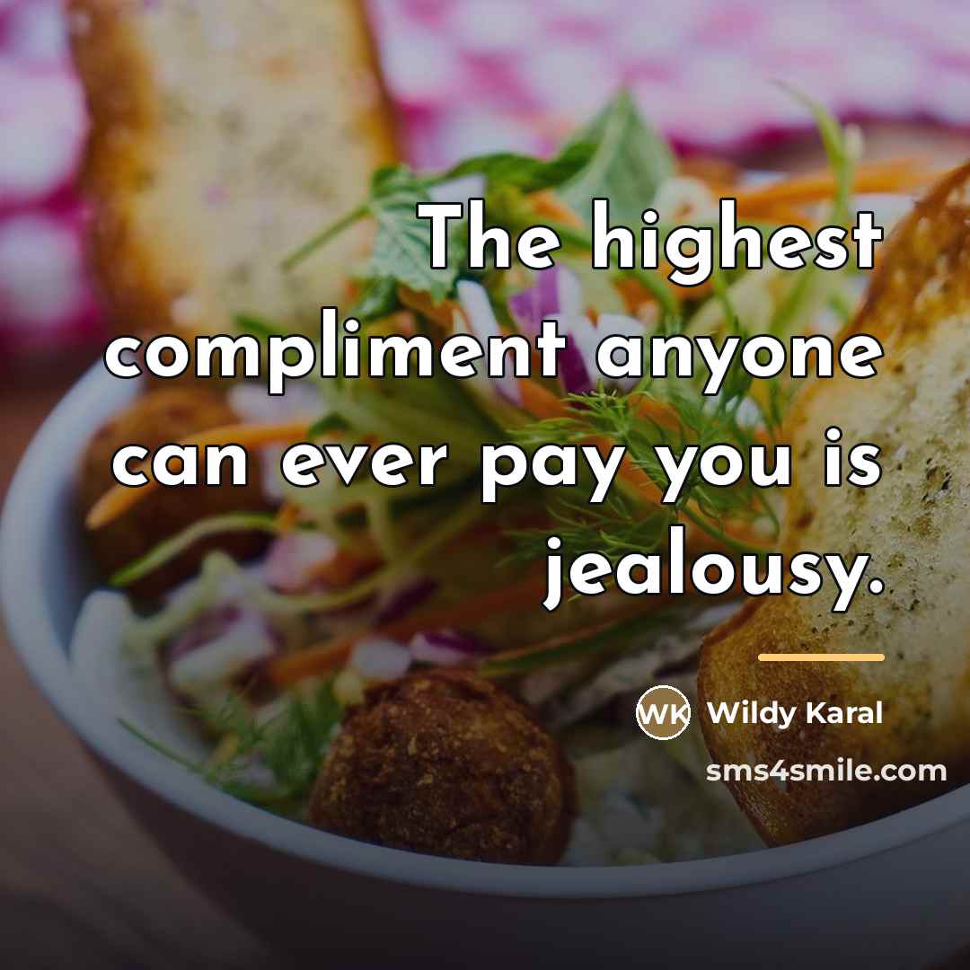 “The highest compliment anyone can ever pay you is jealousy.…” quote by Wildy Karal