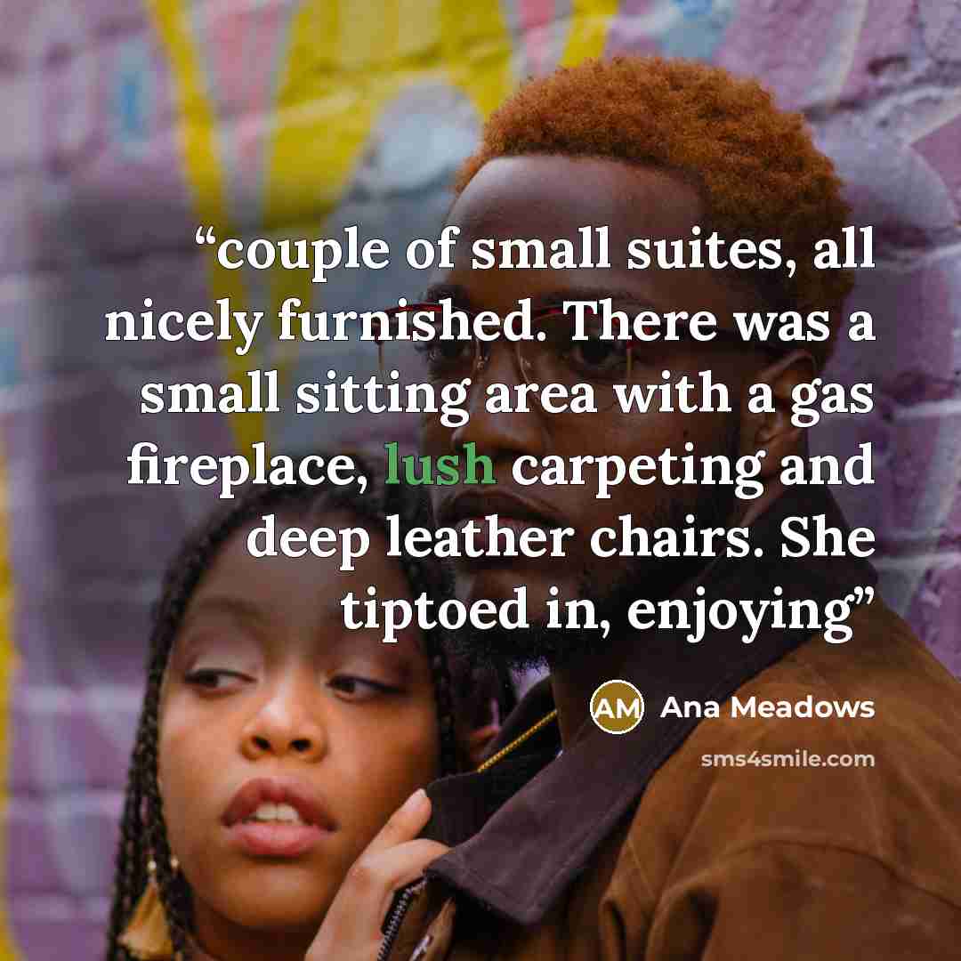 “couple of small suites, all nicely furnished. There was a small sitting area with a gas fireplace, lush carpeting and deep leather chairs. She tiptoed in, enjoying” quote by Ana Meadows