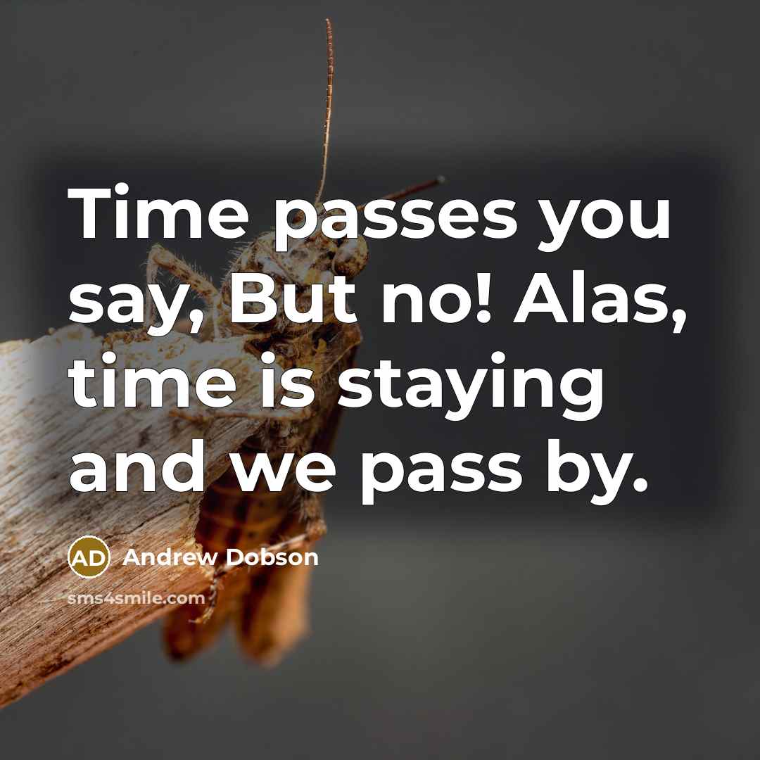 “Time passes you say, But no! Alas, time is staying and we pass by.” quote by Andrew Dobson