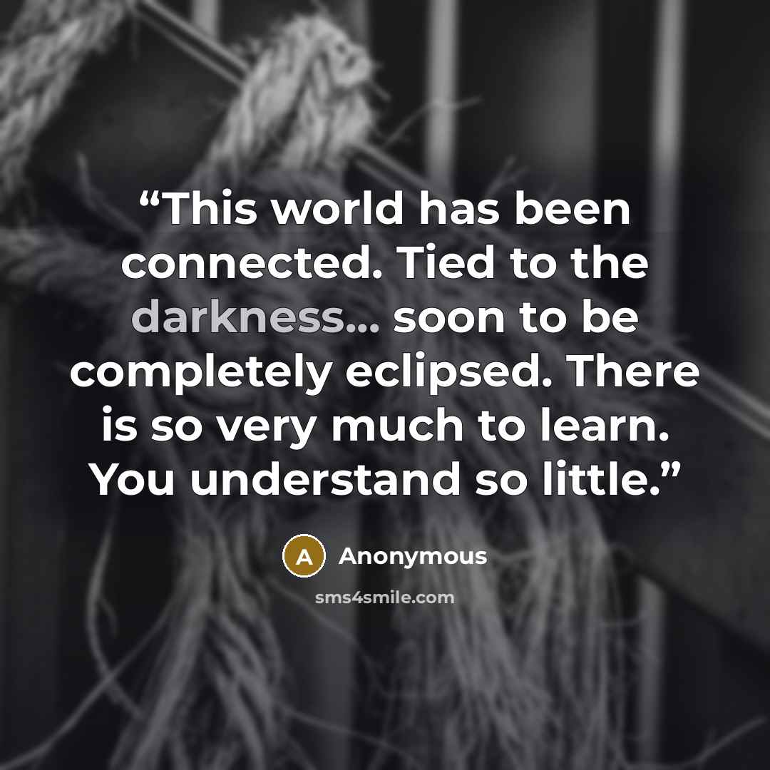 “This world has been connected. Tied to the darkness... soon to be completely eclipsed. There is so very much to learn. You understand so little.” quote by Anonymous