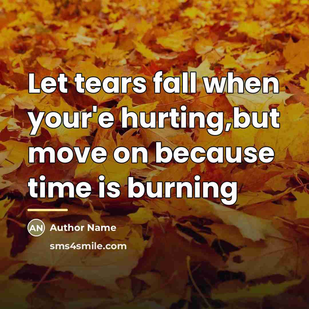 “Let tears fall when your'e hurting,but move on because time…” quote by Author Name