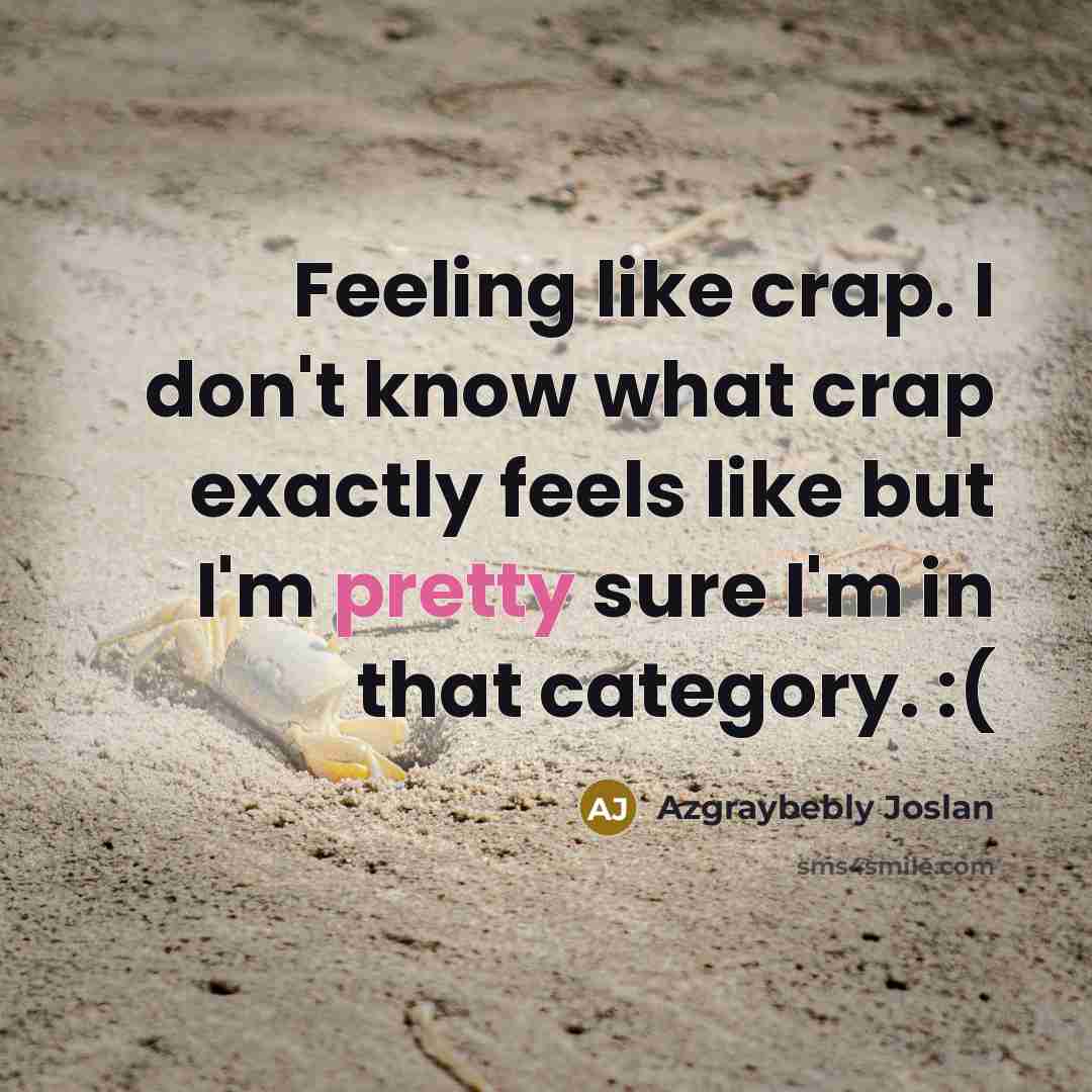 “Feeling like crap. I don't know what crap exactly feels…” quote by Azgraybebly Joslan