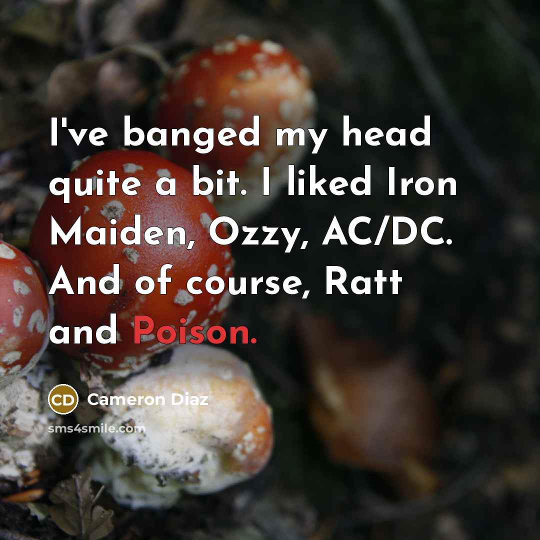 “I've banged my head quite a bit. I liked Iron…” quote by Cameron Diaz
