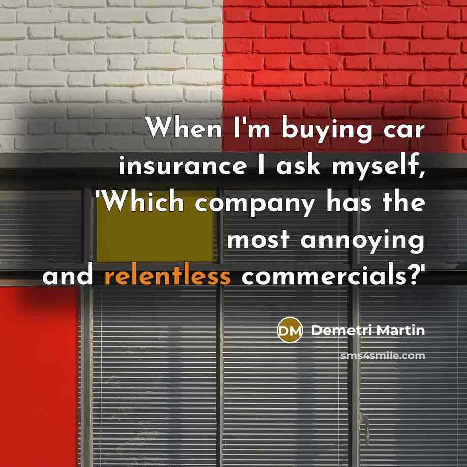 “When I'm buying car insurance I ask myself, 'Which company…” quote by Demetri Martin