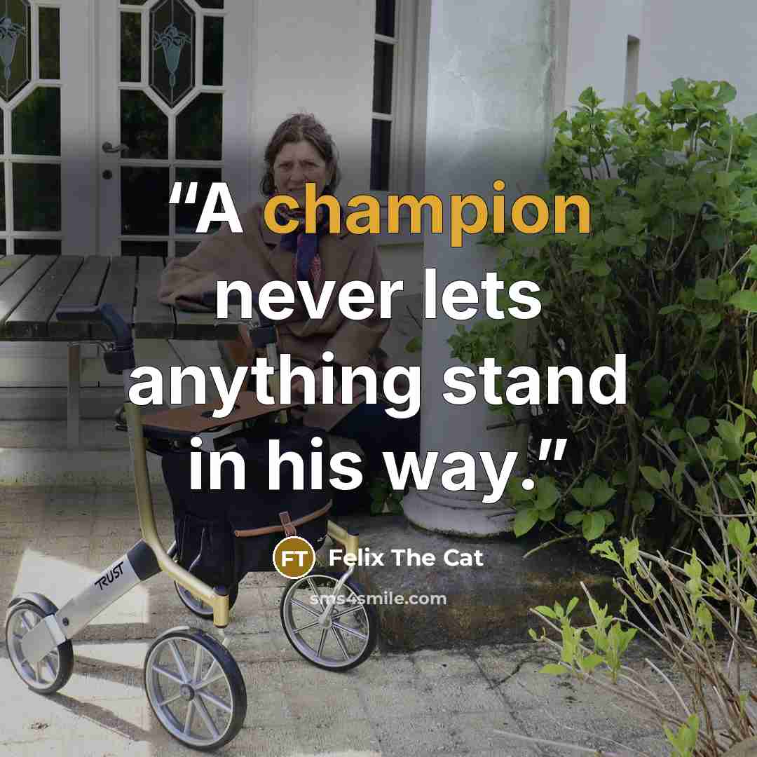 “A champion never lets anything stand in his way.” quote by Felix The Cat