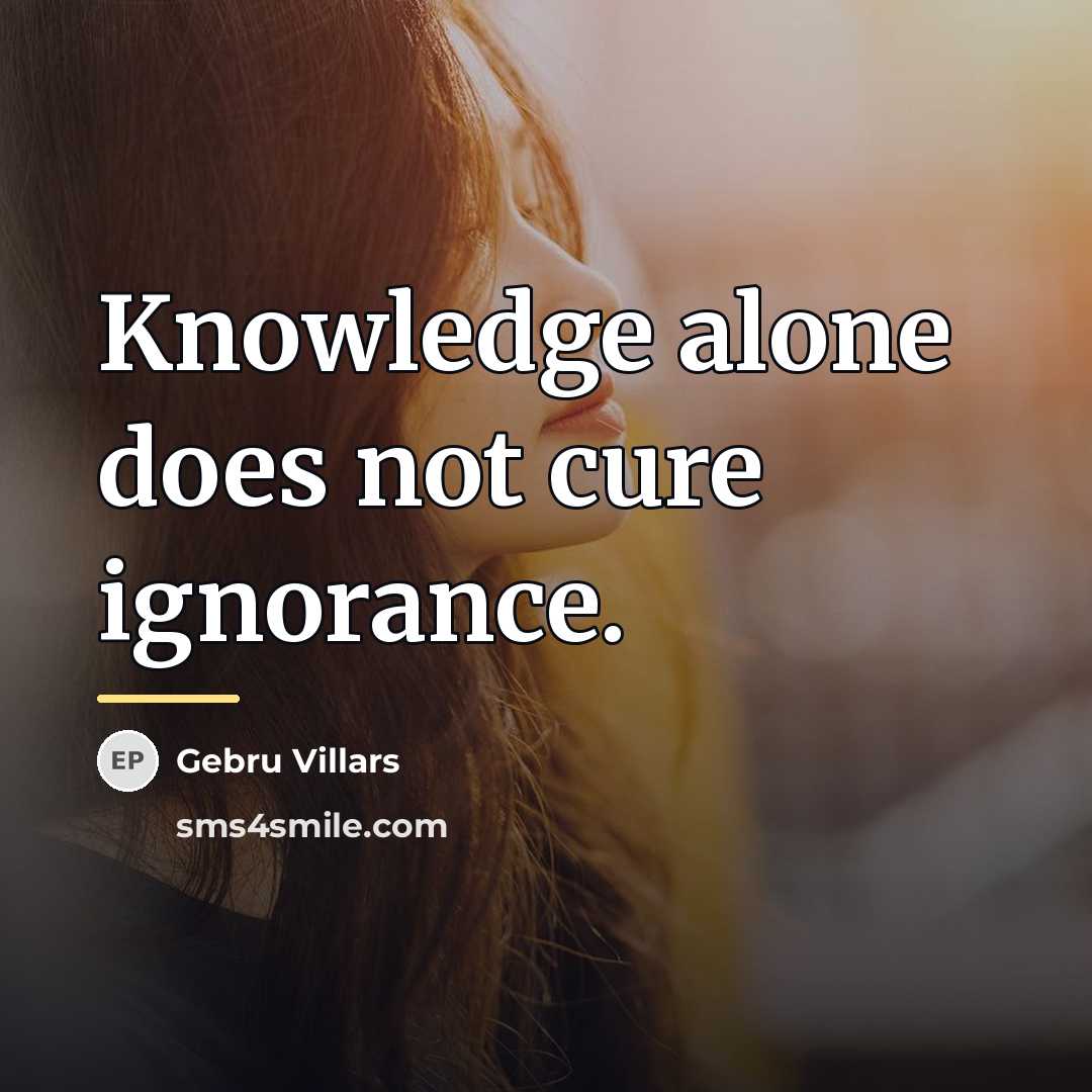 “Knowledge alone does not cure ignorance.…” quote by Gebru Villars