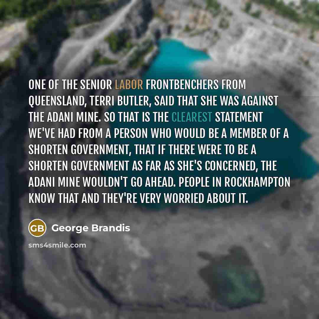 “One of the senior Labor frontbenchers from Queensland, Terri Butler,…” quote by George Brandis