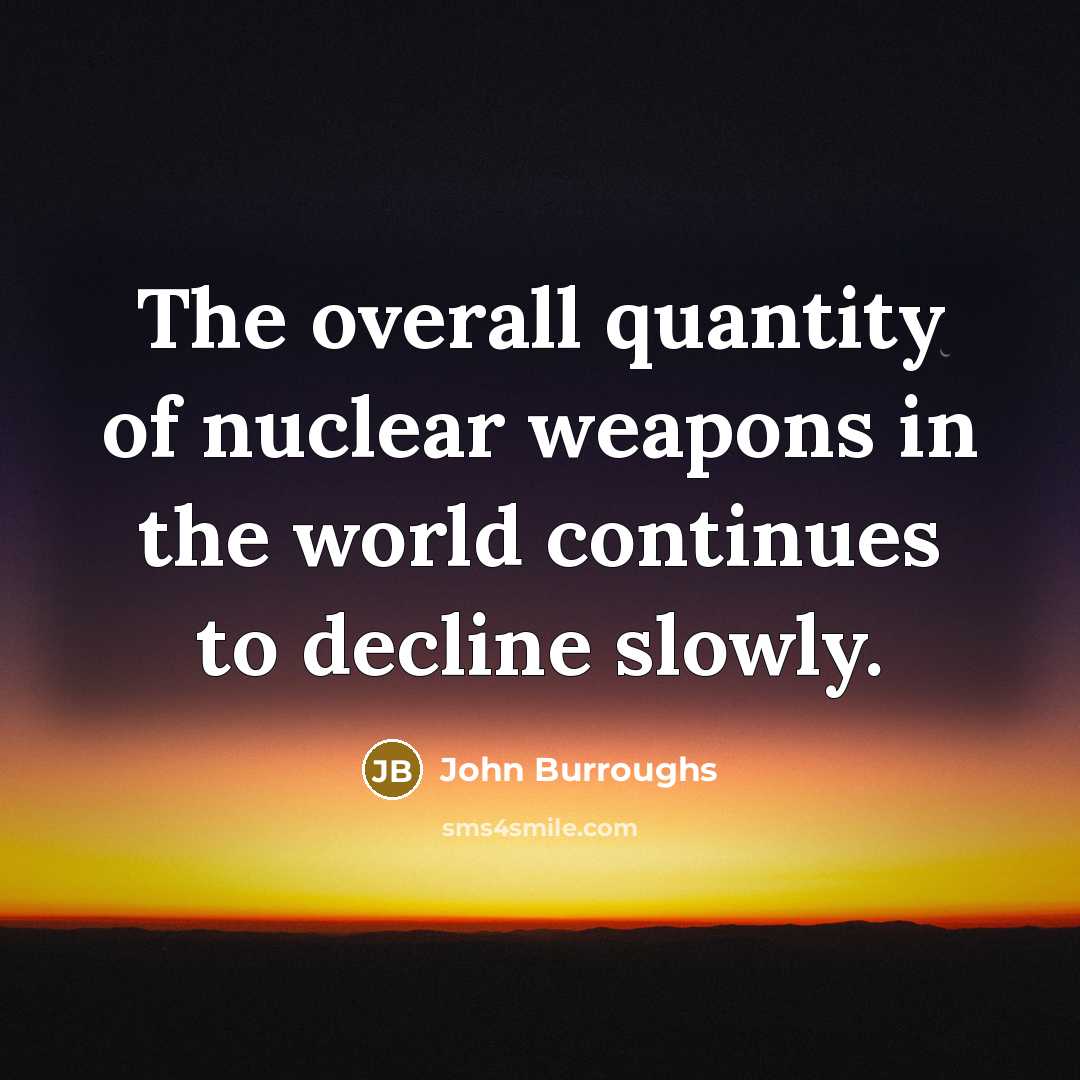 “The overall quantity of nuclear weapons in the world continues…” quote by John Burroughs