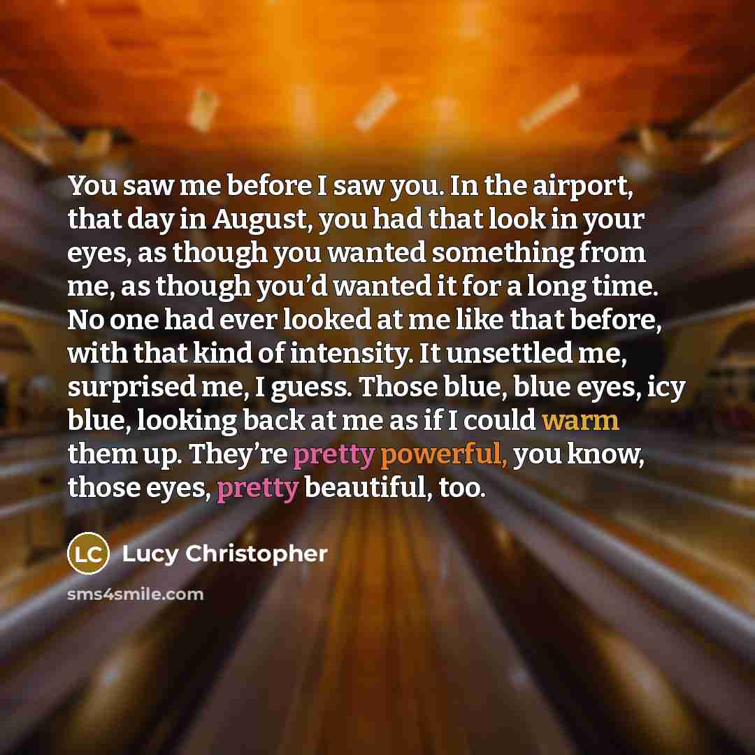 “You saw me before I saw you. In the airport,…” quote by Lucy Christopher