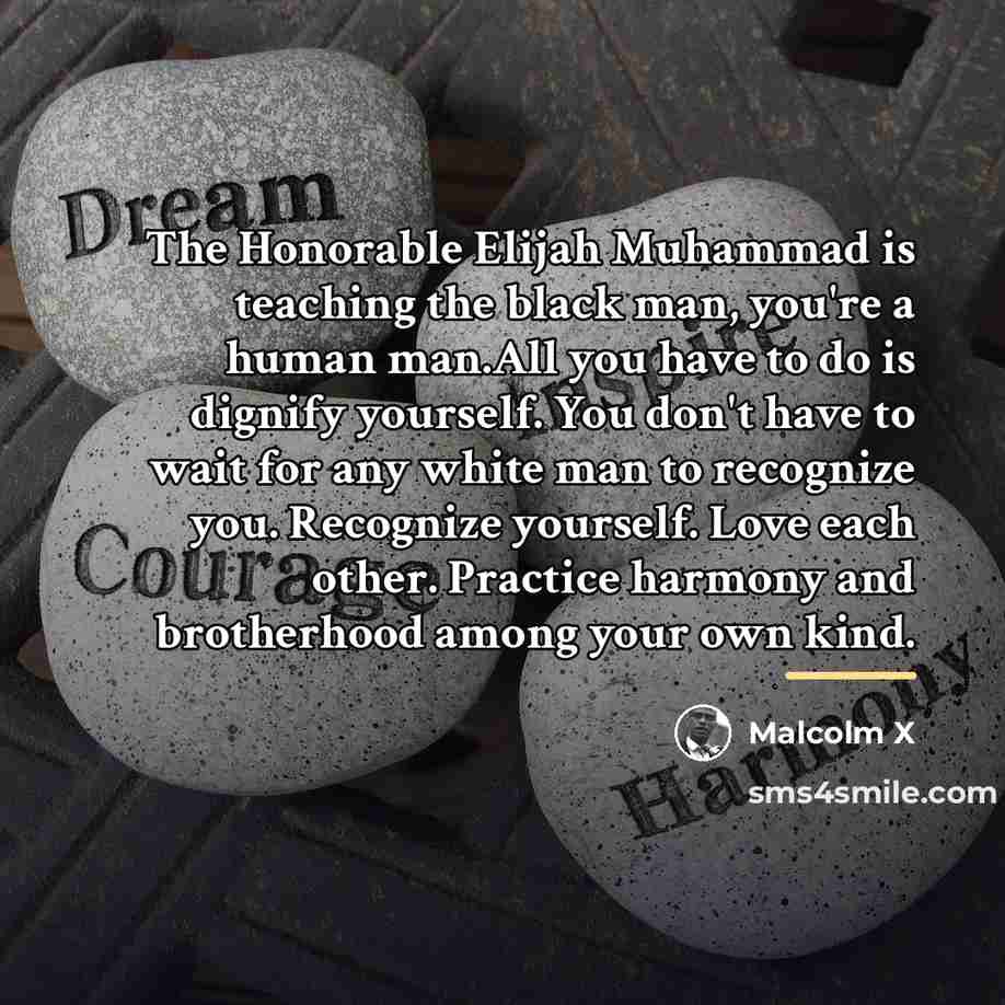 “The Honorable Elijah Muhammad is teaching the black man, you're…” quote by Malcolm X