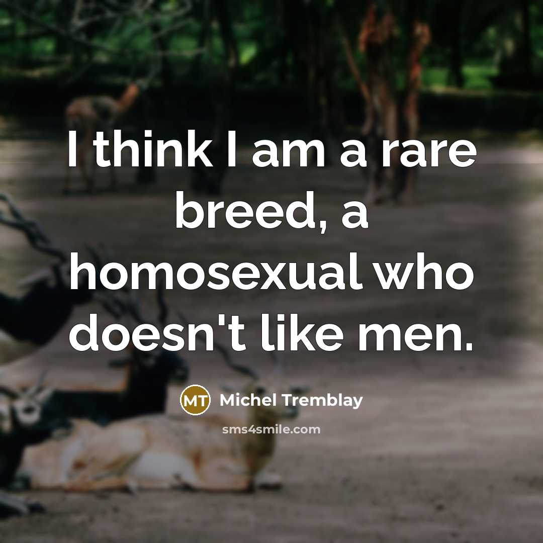 “I think I am a rare breed, a homosexual who…” quote by Michel Tremblay