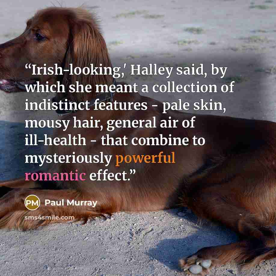 “Irish-looking,' Halley said, by which she meant a collection of indistinct features - pale skin, mousy hair, general air of ill-health - that combine to mysteriously powerful romantic effect.” quote by Paul Murray