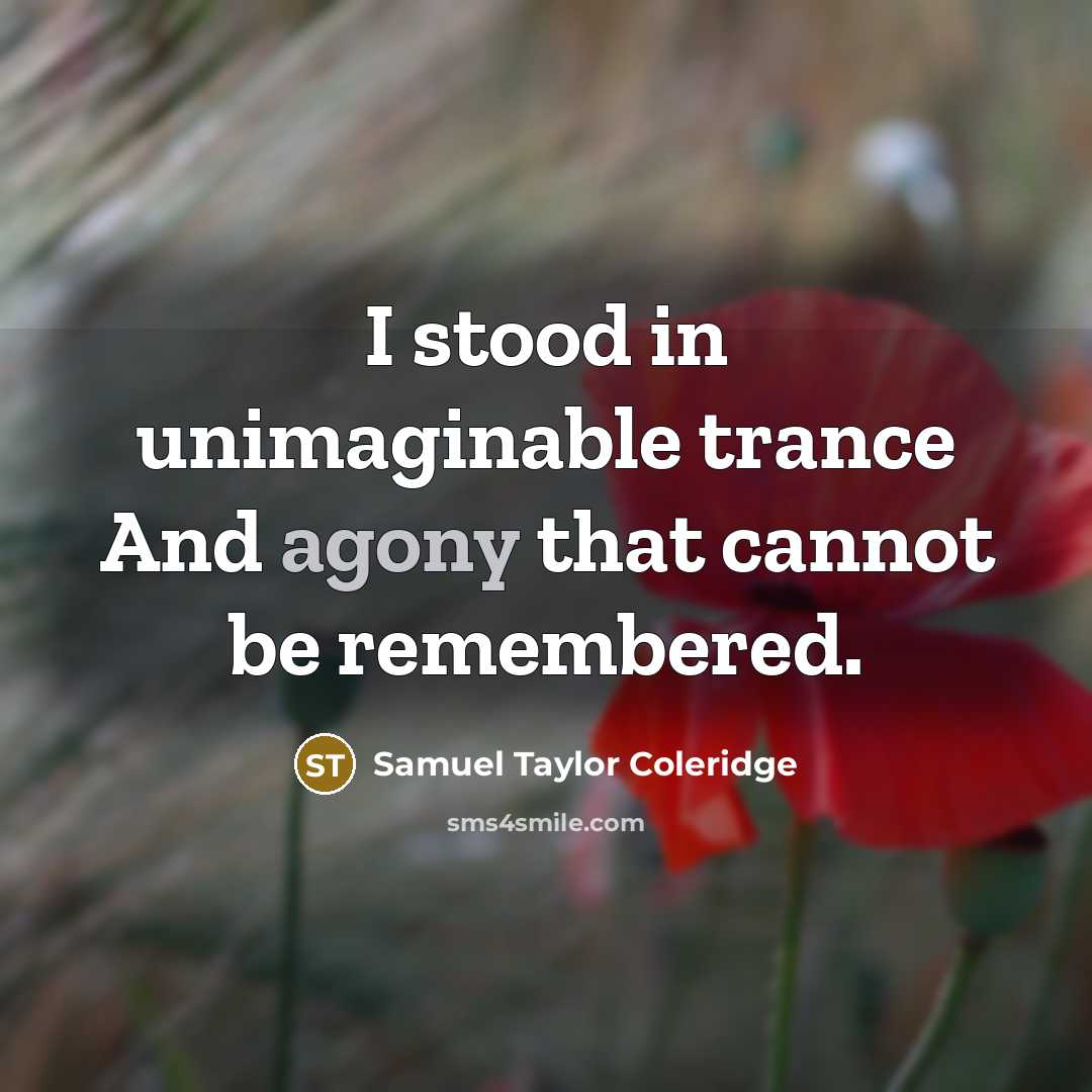 “I stood in unimaginable trance And agony that cannot be…” quote by Samuel Taylor Coleridge