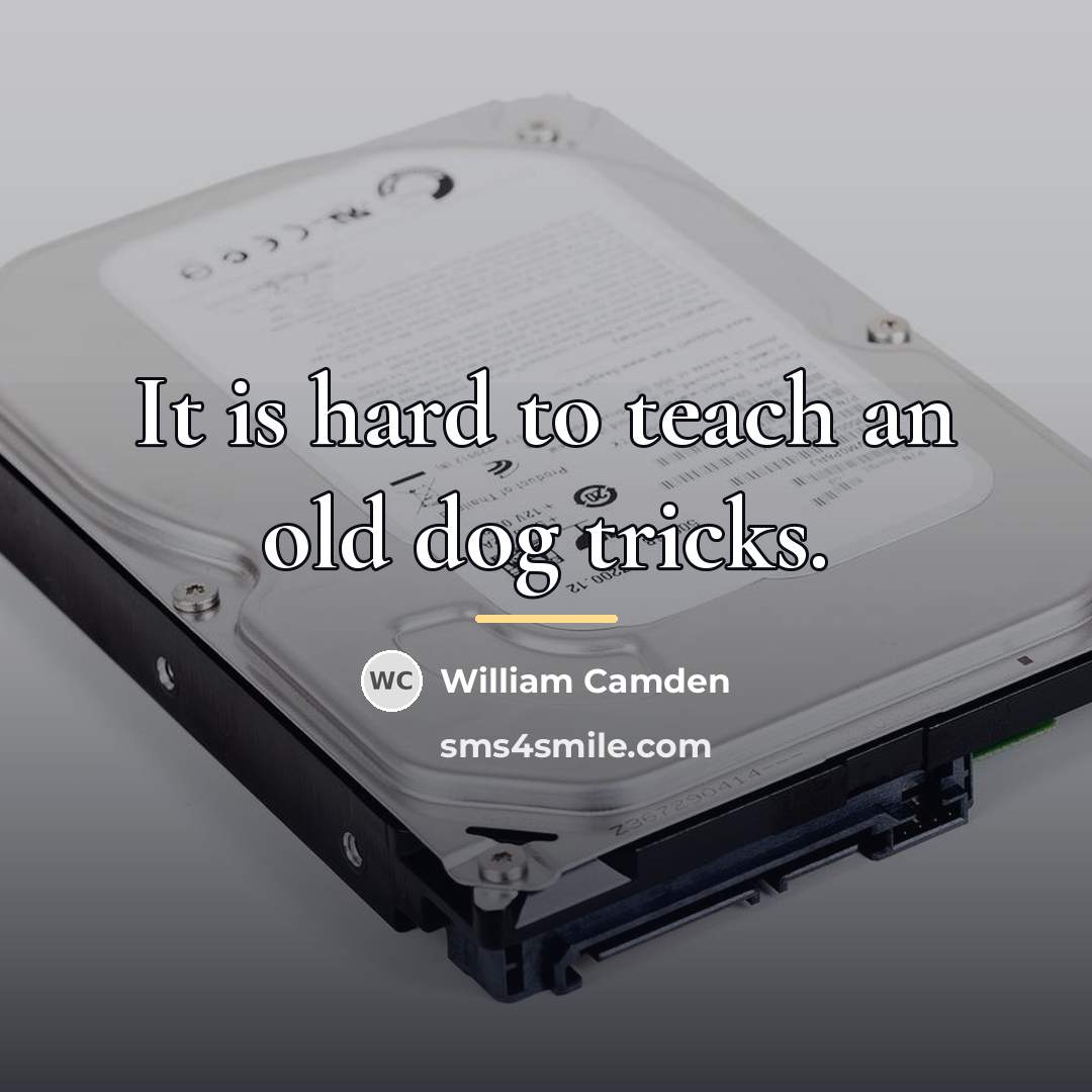 “It is hard to teach an old dog tricks.…” quote by William Camden
