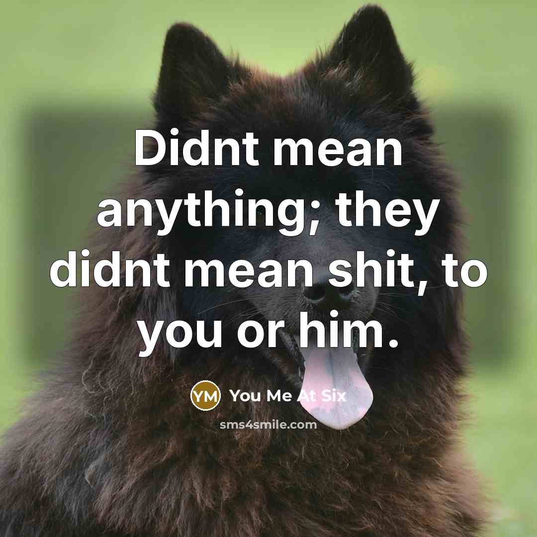 “Didnt mean anything; they didnt mean shit, to you or him.” quote by You Me At Six