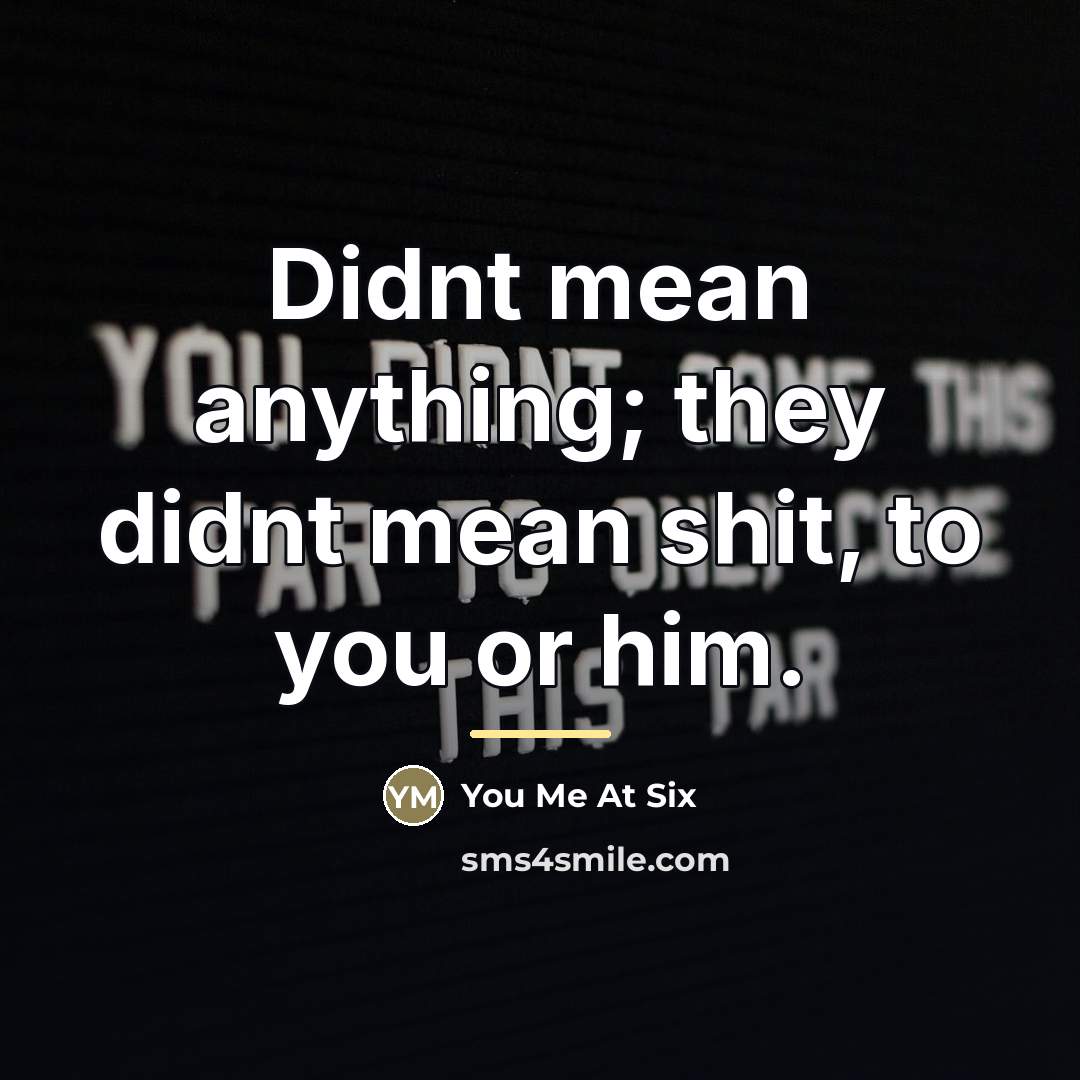 “Didnt mean anything; they didnt mean shit, to you or…” quote by You Me At Six