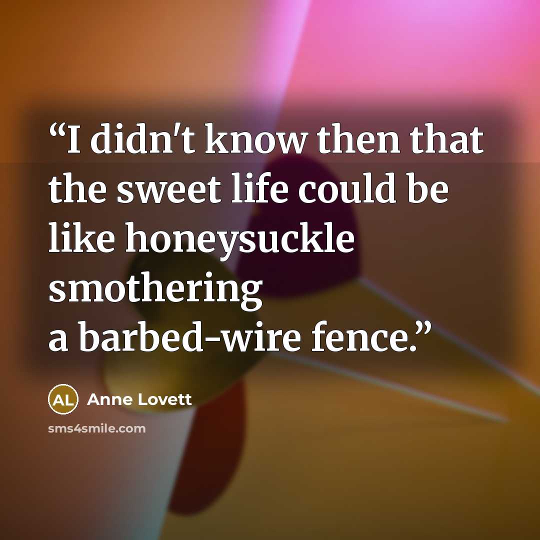“I didn't know then that the sweet life could be like honeysuckle smothering a barbed-wire fence.” quote by Anne Lovett