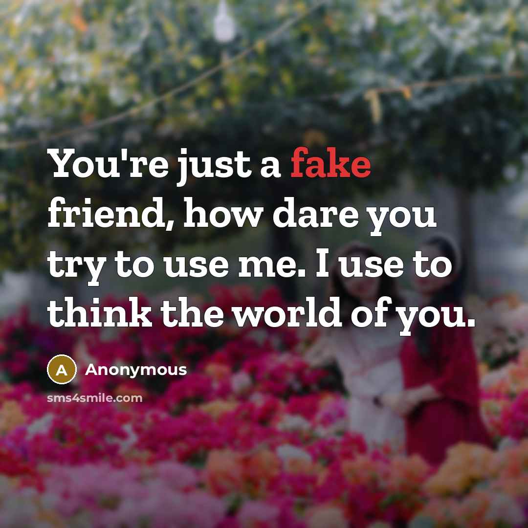 “You're just a fake friend, how dare you try to…” quote by Anonymous