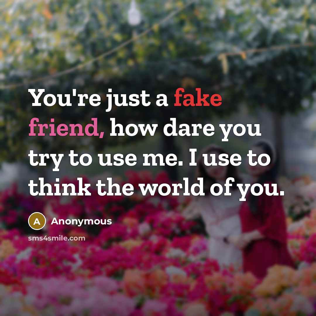 “You're just a fake friend, how dare you try to use me. I use to think the world of you.” quote by Anonymous