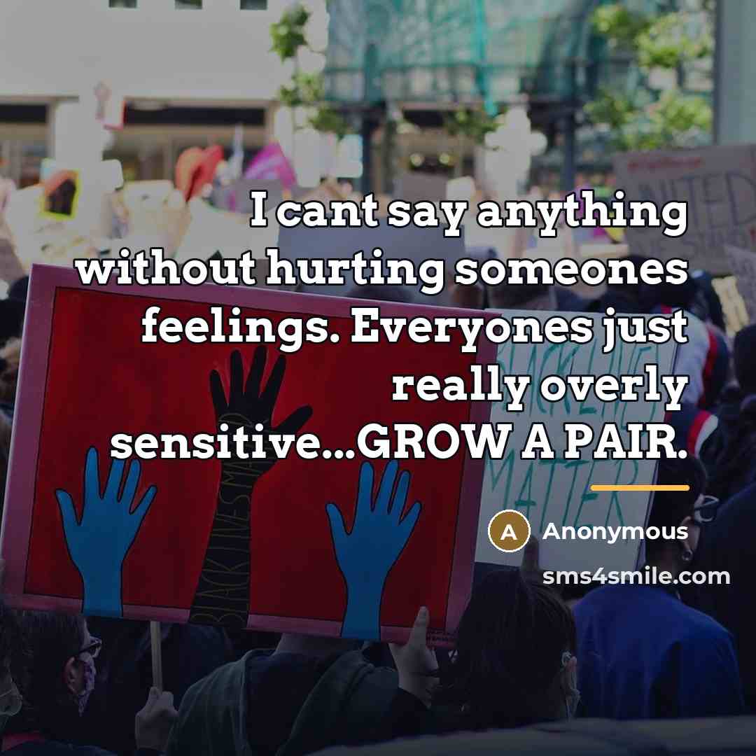 “I cant say anything without hurting someones feelings. Everyones just…” quote by Anonymous