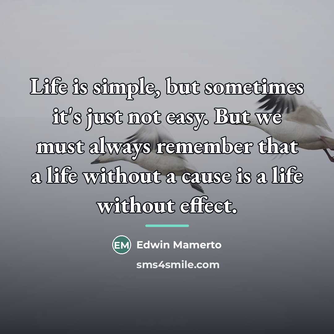 “Life is simple, but sometimes it's just not easy. But…” quote by Edwin Mamerto