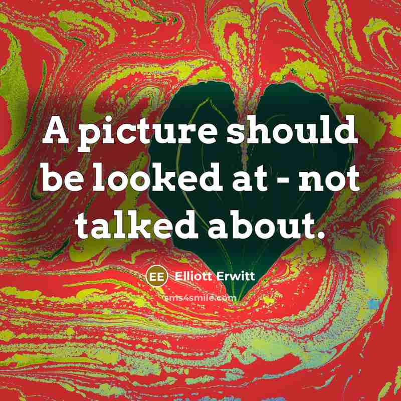 “A picture should be looked at - not talked about.…” quote by Elliott Erwitt