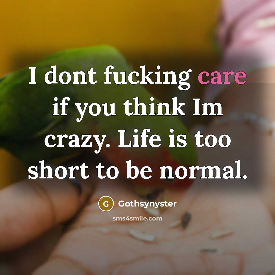 “I dont fucking care if you think Im crazy. Life is too short to be normal.” quote by Gothsynyster