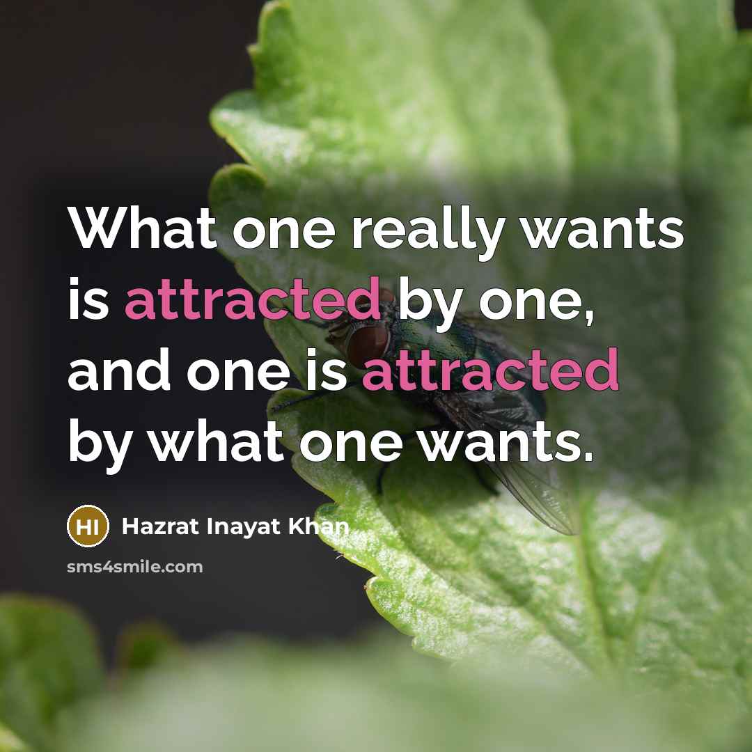 “What one really wants is attracted by one, and one is attracted by what one wants.” quote by Hazrat Inayat Khan
