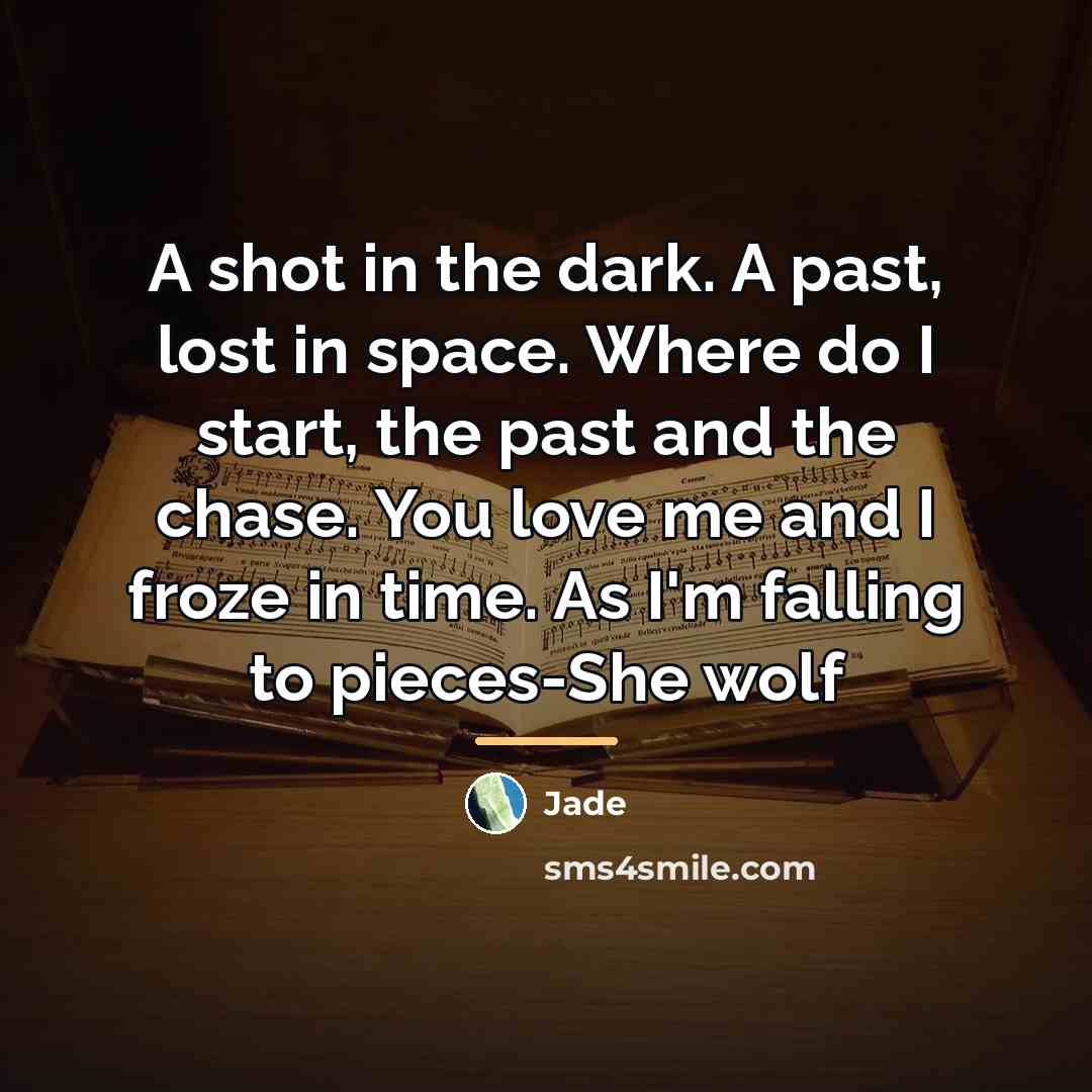“A shot in the dark. A past, lost in space.…” quote by Jade
