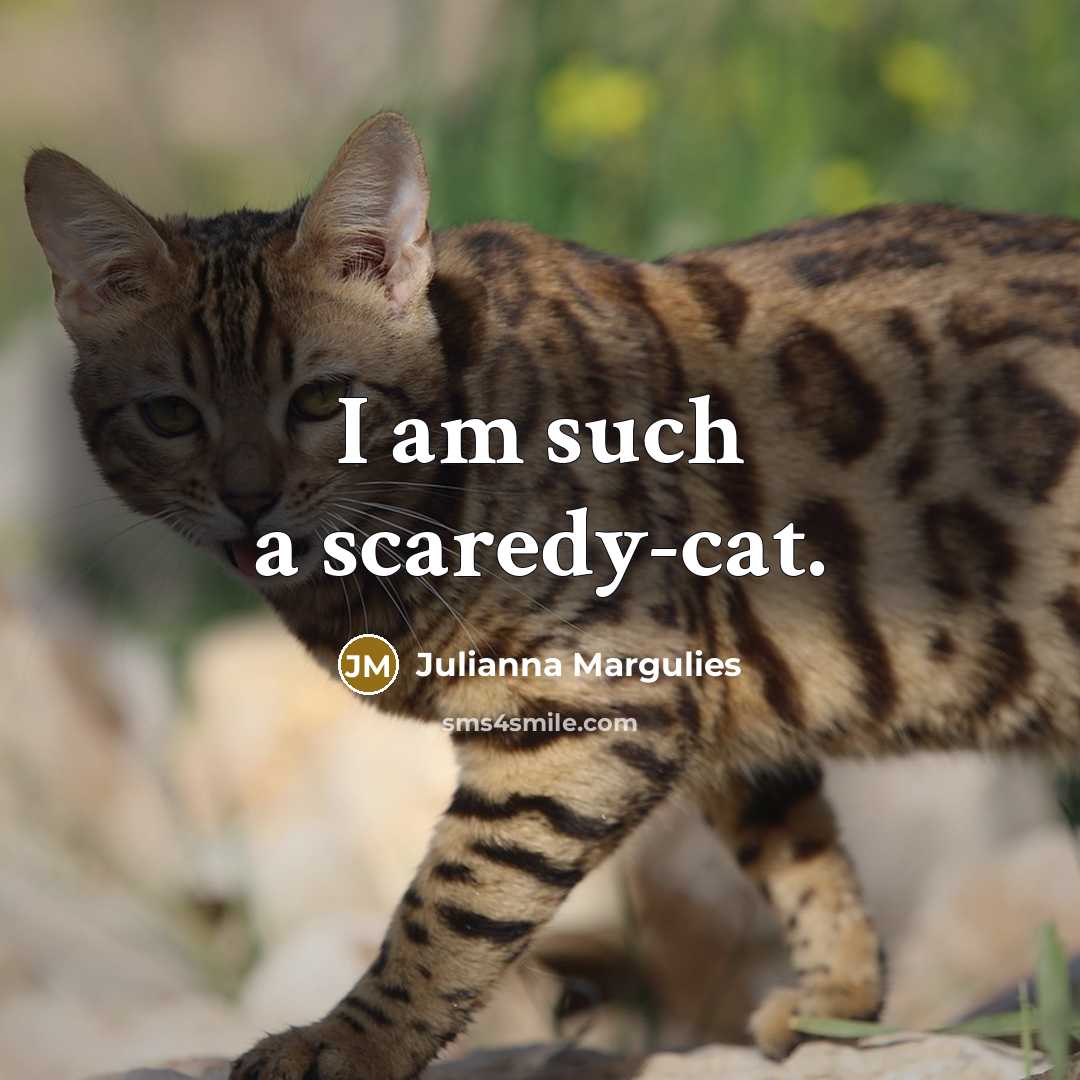 “I am such a scaredy-cat.…” quote by Julianna Margulies