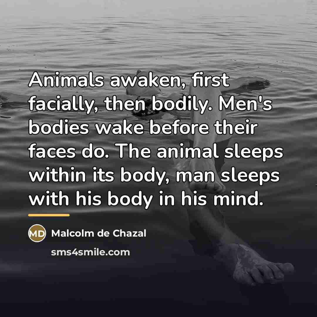 “Animals awaken, first facially, then bodily. Men's bodies wake before…” quote by Malcolm De Chazal