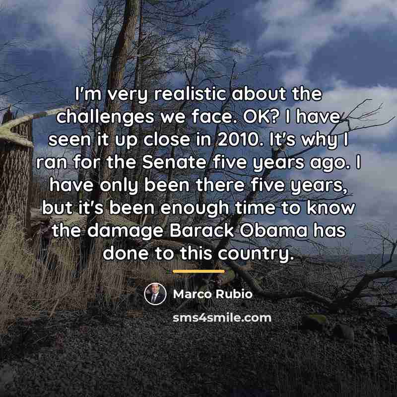 “I'm very realistic about the challenges we face. OK? I…” quote by Marco Rubio