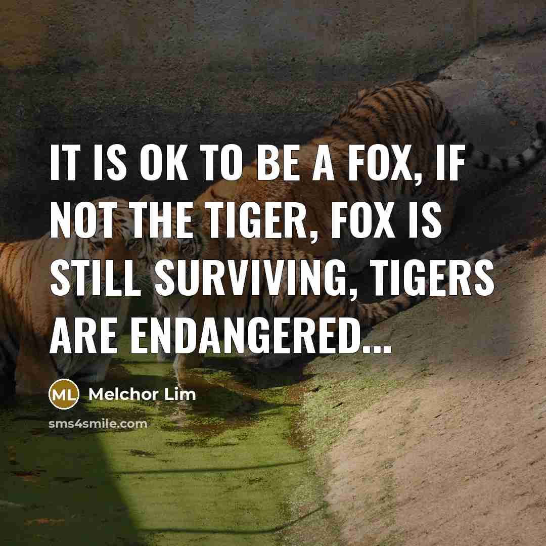 “It is ok to be a fox, if not the…” quote by Melchor Lim