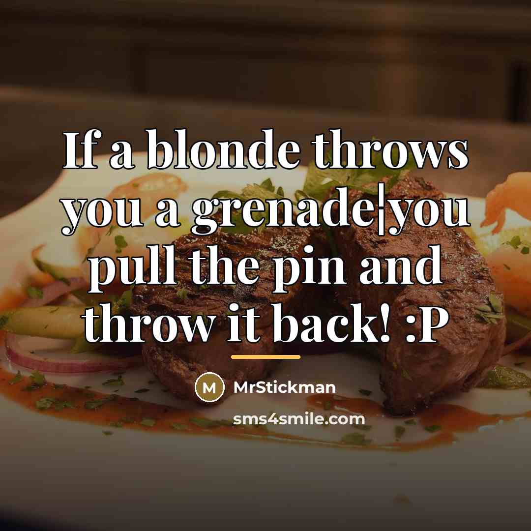 “If a blonde throws you a grenade¦you pull the pin…” quote by MrStickman