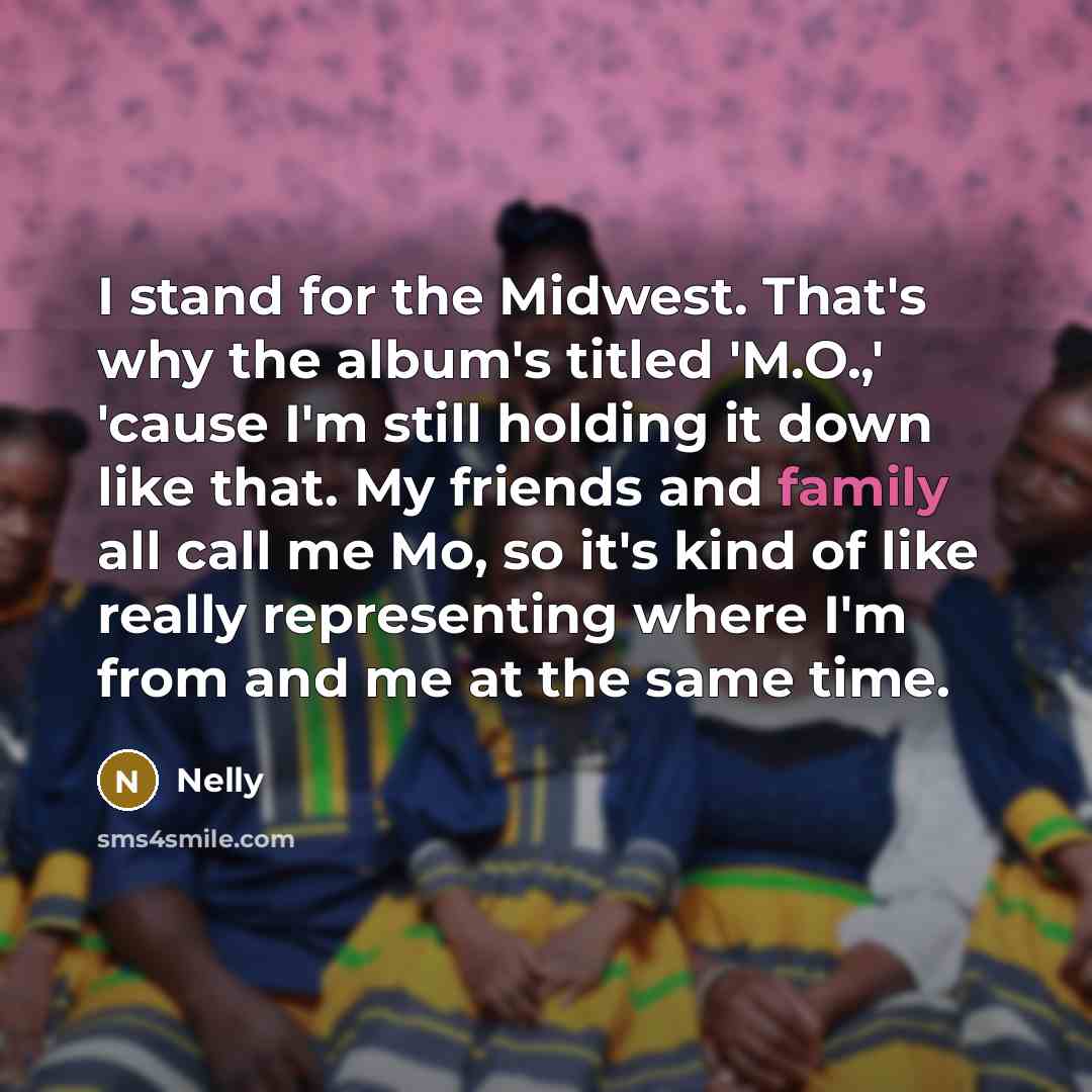 “I stand for the Midwest. That's why the album's titled…” quote by Nelly