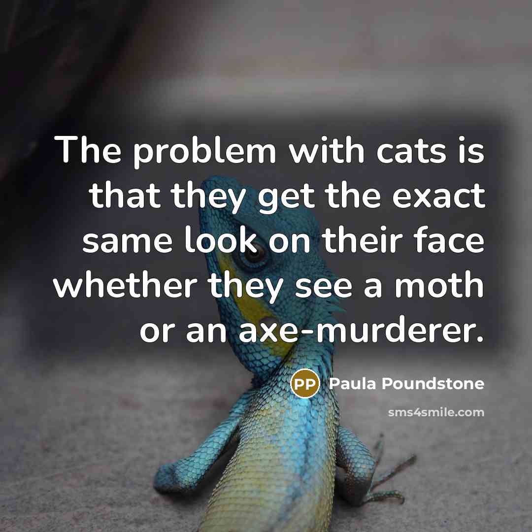 “The problem with cats is that they get the exact…” quote by Paula Poundstone