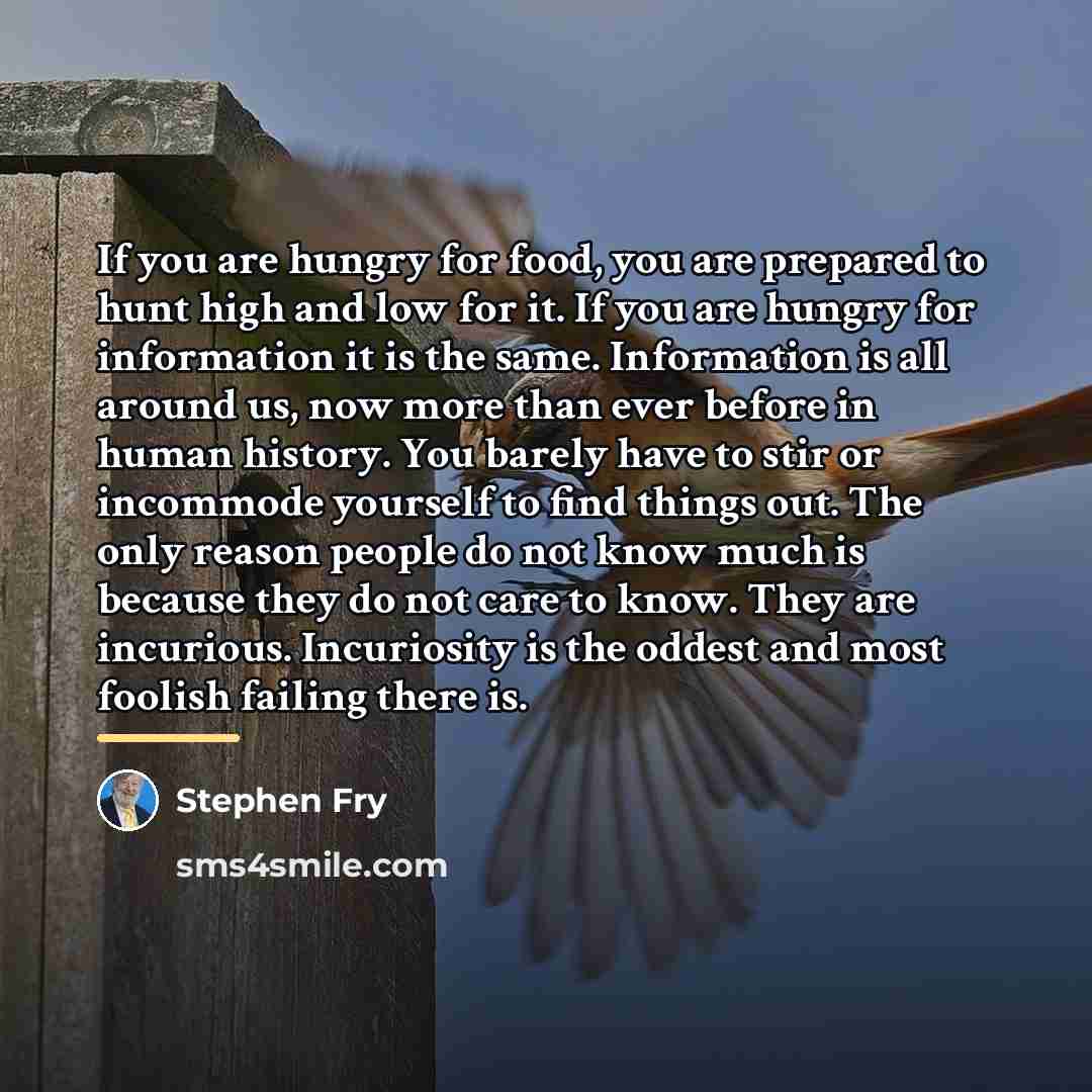 “If you are hungry for food, you are prepared to…” quote by Stephen Fry