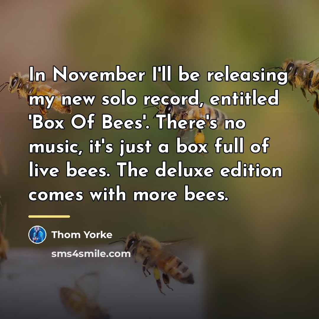 “In November I'll be releasing my new solo record, entitled…” quote by Thom Yorke