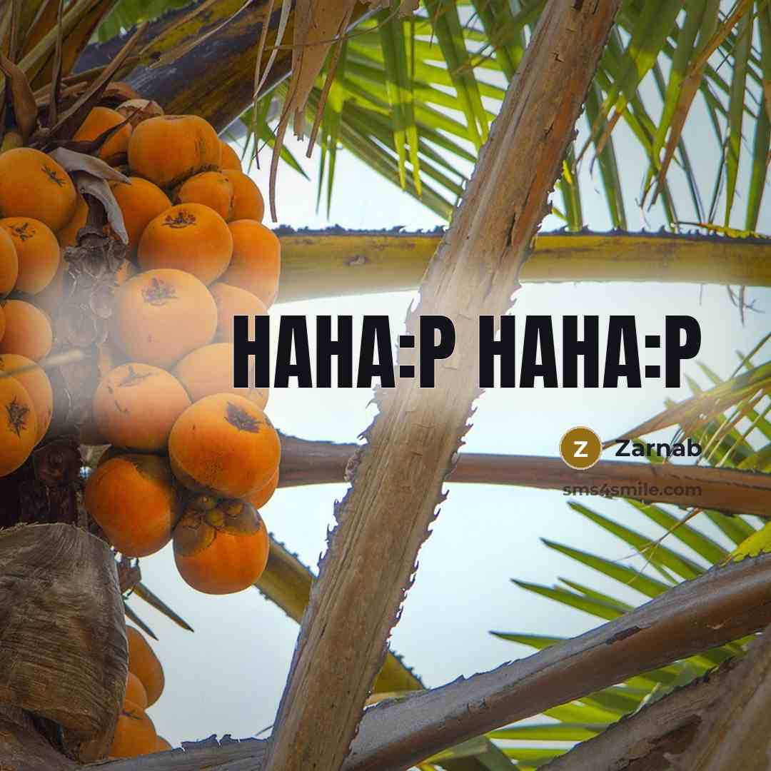 “Haha:P haha:P” quote by Zarnab