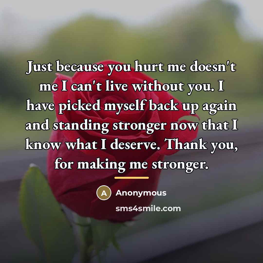 “Just because you hurt me doesn't me I can't live…” quote by Anonymous
