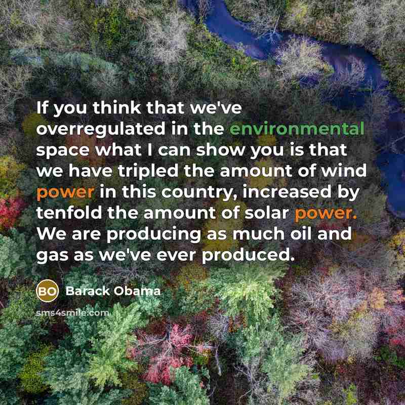 “If you think that we've overregulated in the environmental space…” quote by Barack Obama
