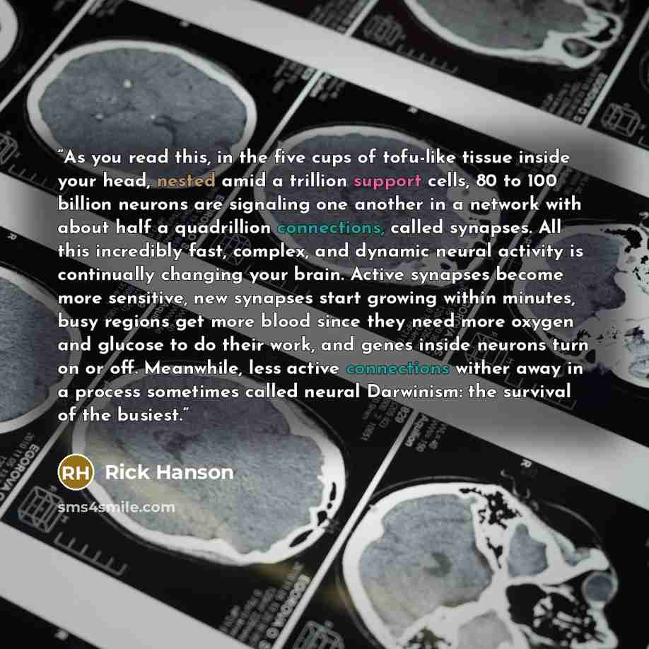 “As you read this, in the five cups of tofu-like tissue inside your head, nested amid a trillion support cells, 80 to 100 billion neurons are signaling one another in a network with about half a quadrillion connections, called synapses. All this incredibly fast, complex, and dynamic neural activity…” quote by Rick Hanson