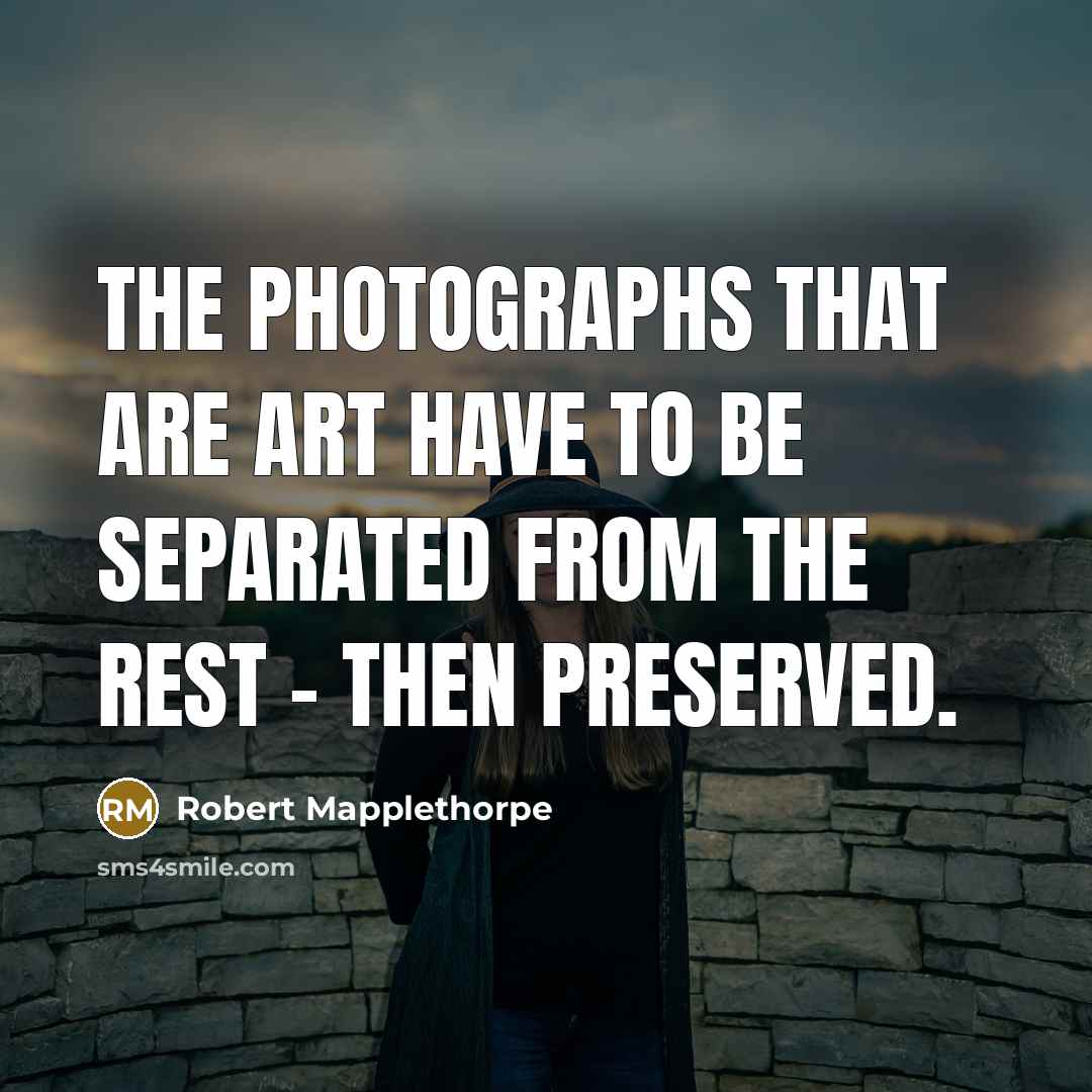 “The photographs that are art have to be separated from…” quote by Robert Mapplethorpe