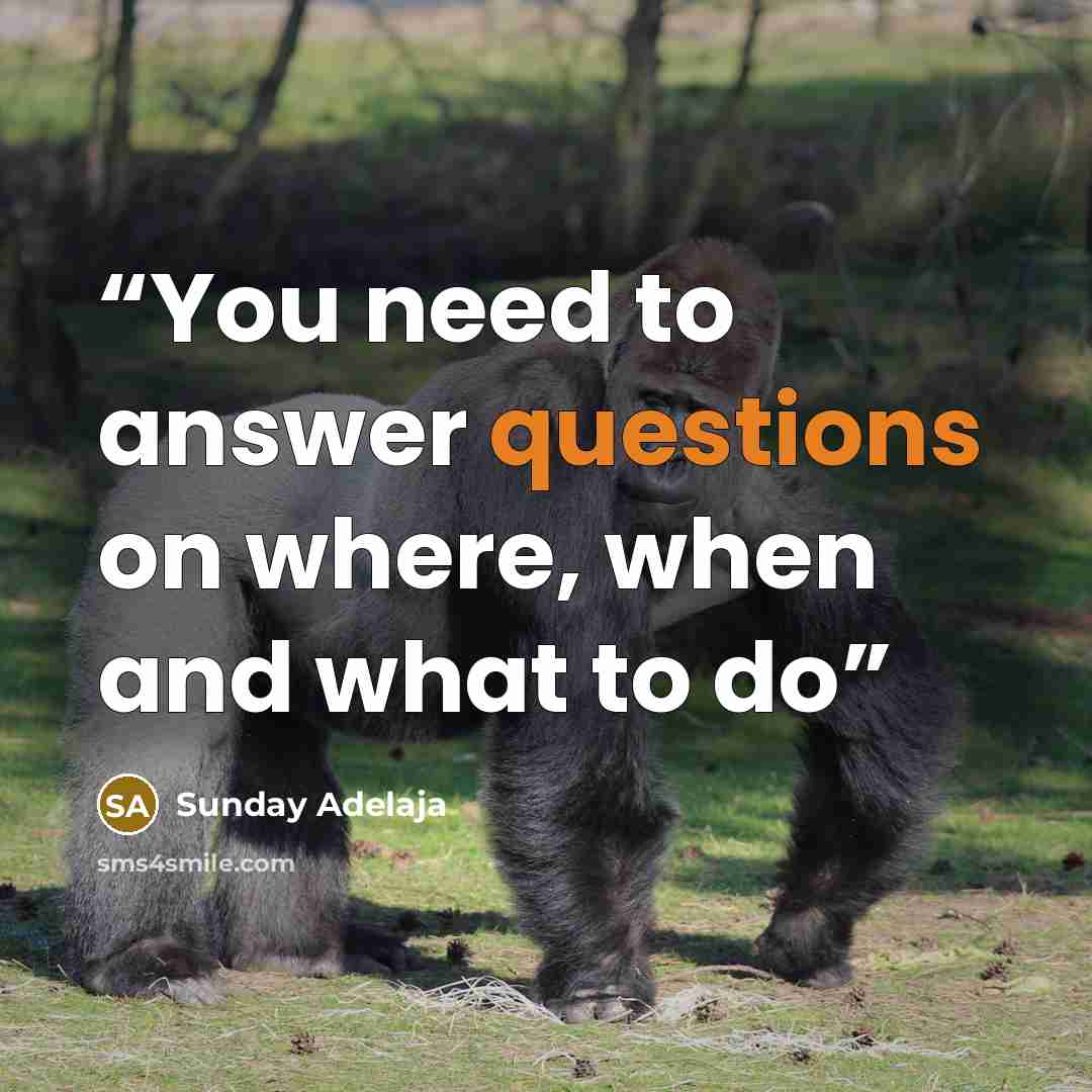 “You need to answer questions on where, when and what to do” quote by Sunday Adelaja
