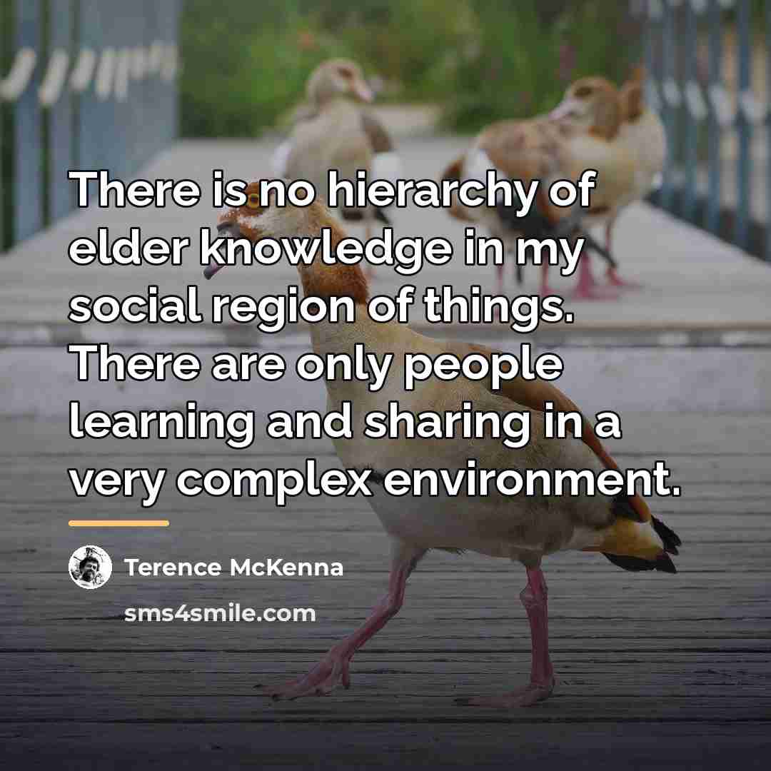 “There is no hierarchy of elder knowledge in my social…” quote by Terence McKenna