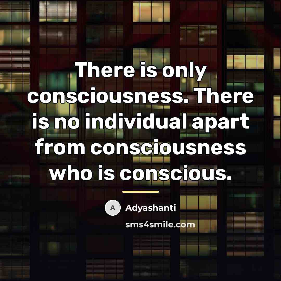 “There is only consciousness. There is no individual apart from…” quote by Adyashanti