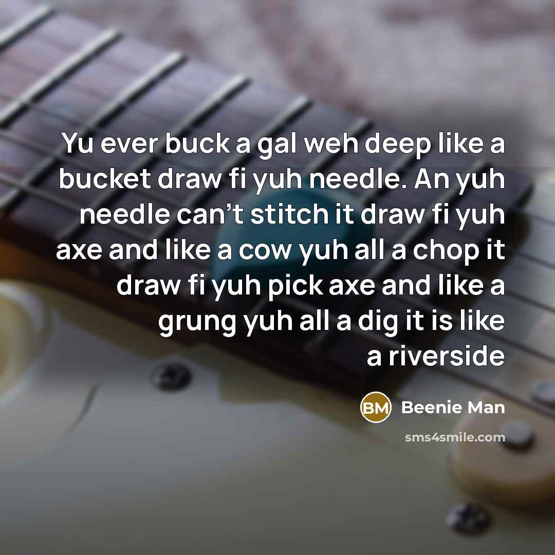 “Yu ever buck a gal weh deep like a bucket…” quote by Beenie Man