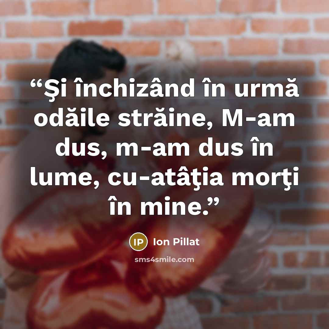 “Şi închizând în urmă odăile străine, M-am dus, m-am dus în lume, cu-atâţia morţi în mine.” quote by Ion Pillat