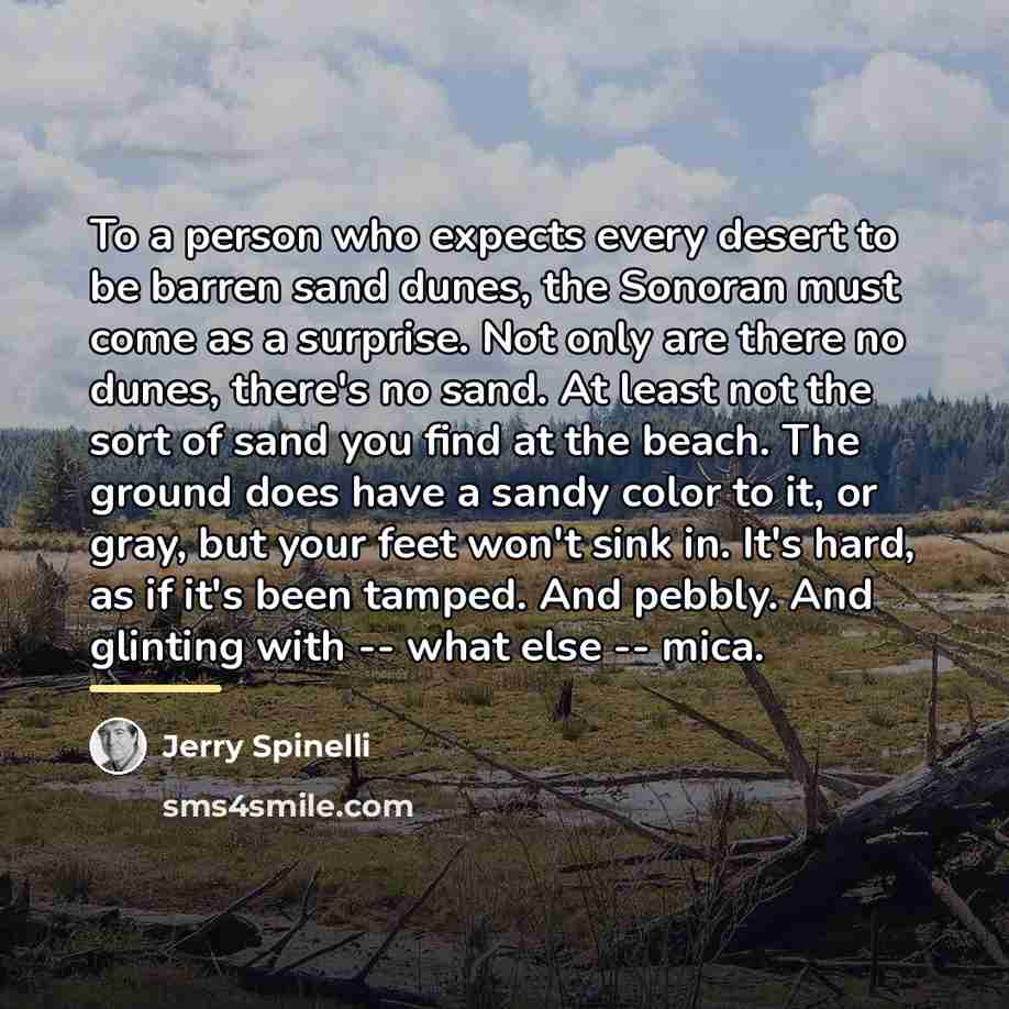 “To a person who expects every desert to be barren…” quote by Jerry Spinelli
